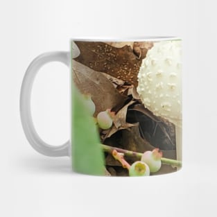 American Fly Agaric Mug